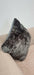 Neoma Grey  With Grey Fur Cushion